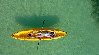 Kayak birdseye View